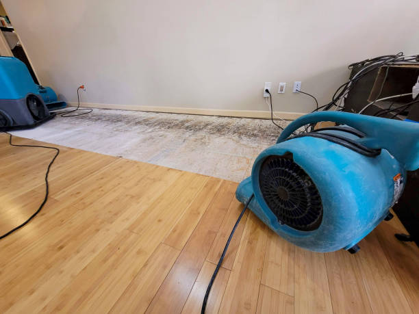 Professional Water Removal technician working in Reading, OH